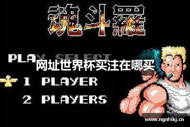 网址世界杯买注在哪买